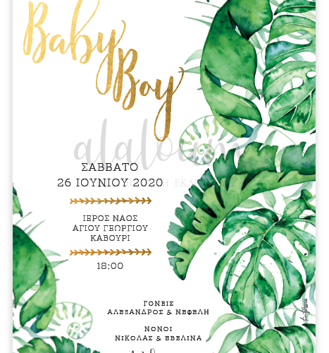 Προσκλητήριο Baby boy