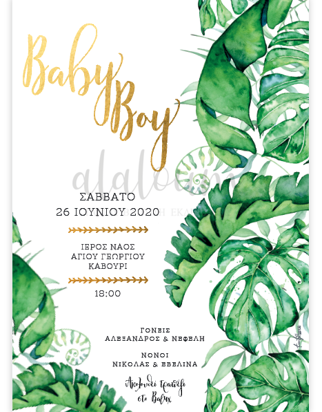 Προσκλητήριο Baby boy