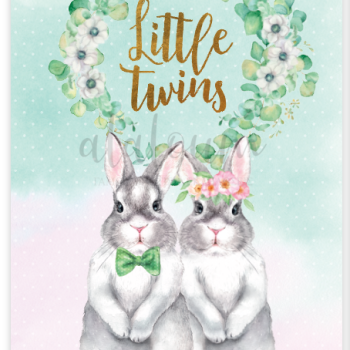 Προσκλητήριο βάπτισης Little twins