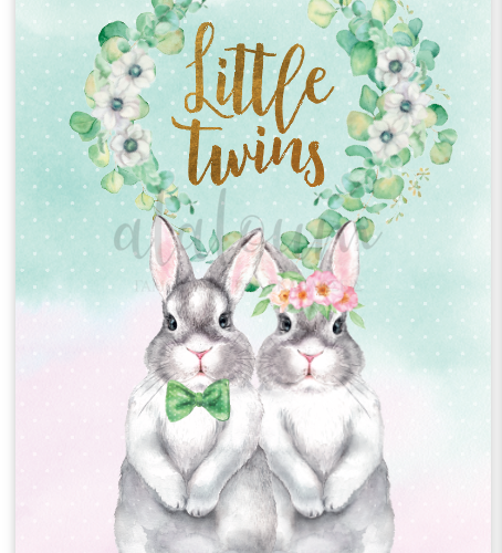 Προσκλητήριο βάπτισης Little twins