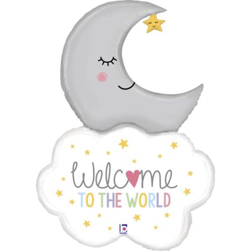 Welcome Baby Moon