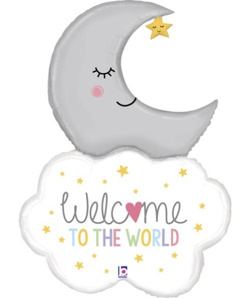 Welcome Baby Moon