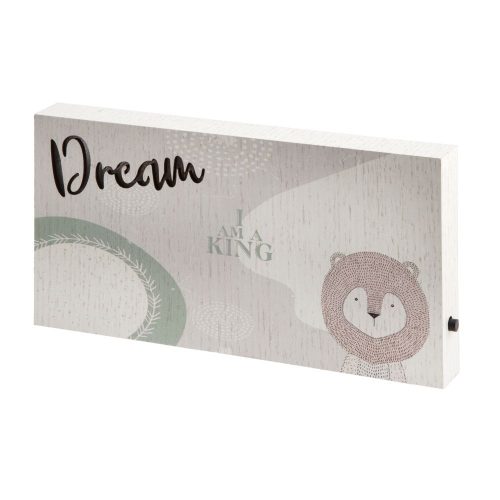 ΚΑΔΡΑΚΙ ΦΩΤΙΖΟΜΕΝΟ ΠΑΡΑΛΛΗΛΟΓΡΑΜΜΟ DREAM ΛΙΟΝΤΑΡΑΚΙ